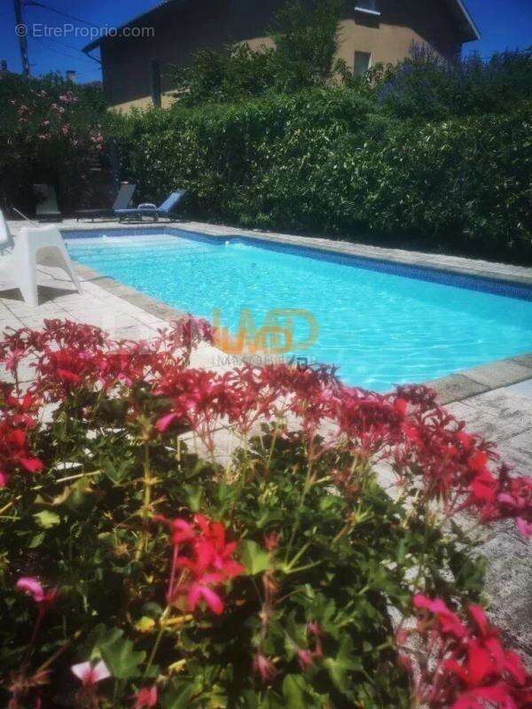 Castres maison Art déco avec piscine - photo 10