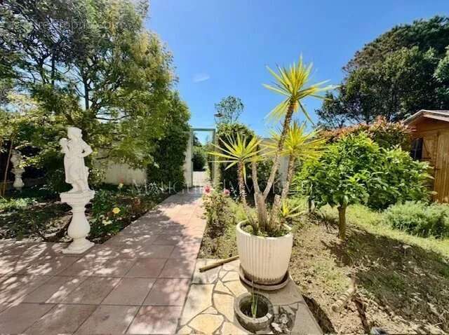 Maison à LA GRANDE-MOTTE