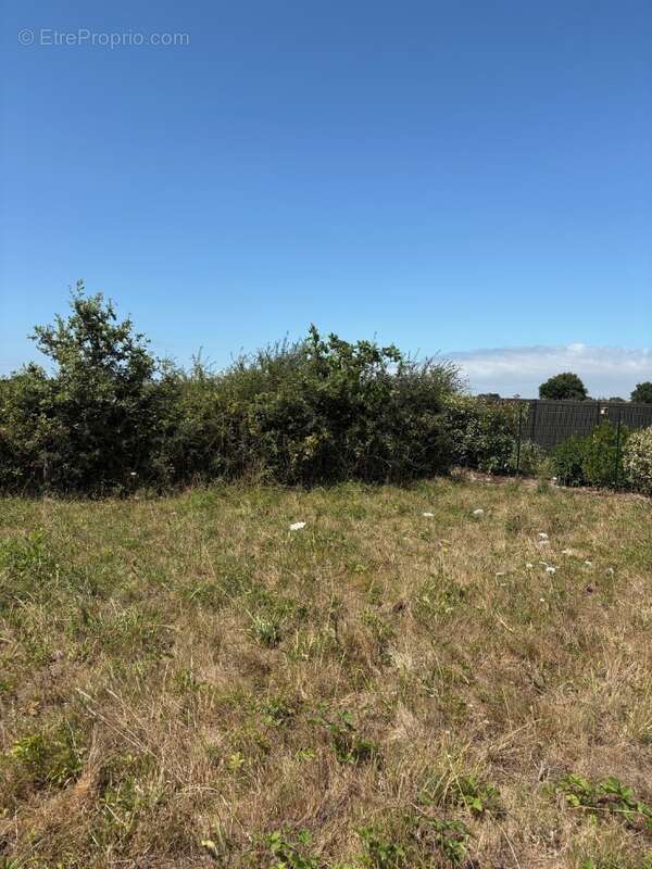 Terrain à SAINT-MICHEL-CHEF-CHEF