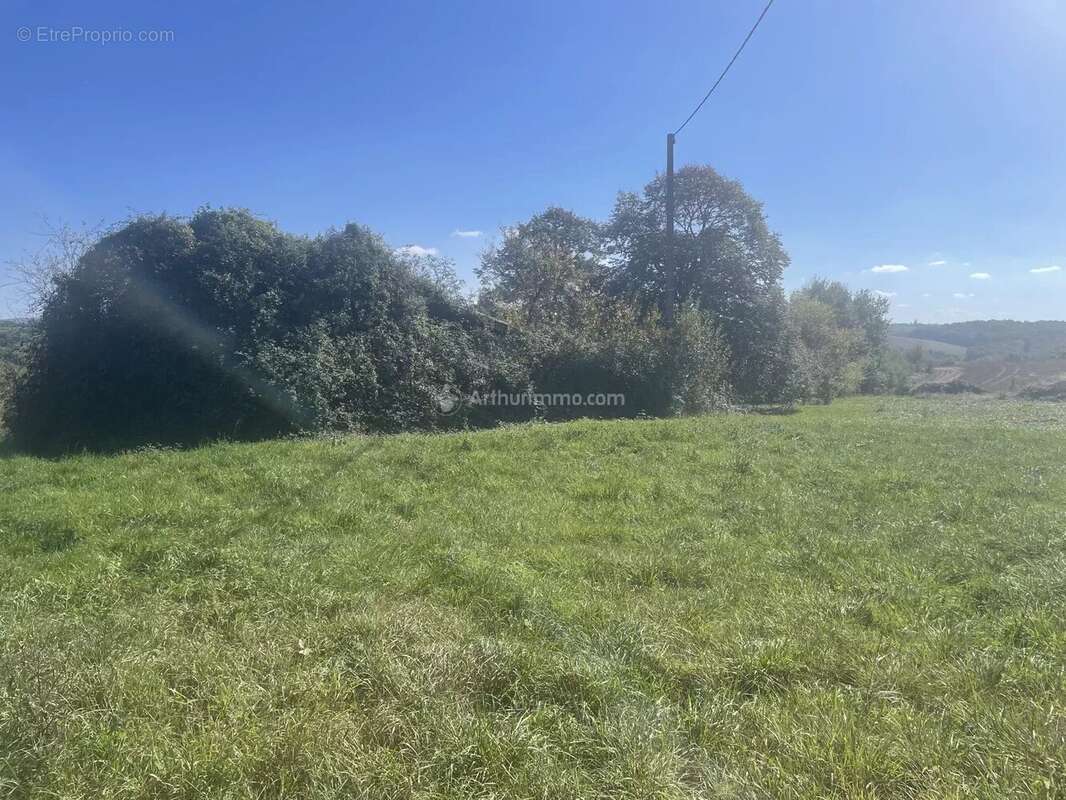 Terrain à BELLEGARDE