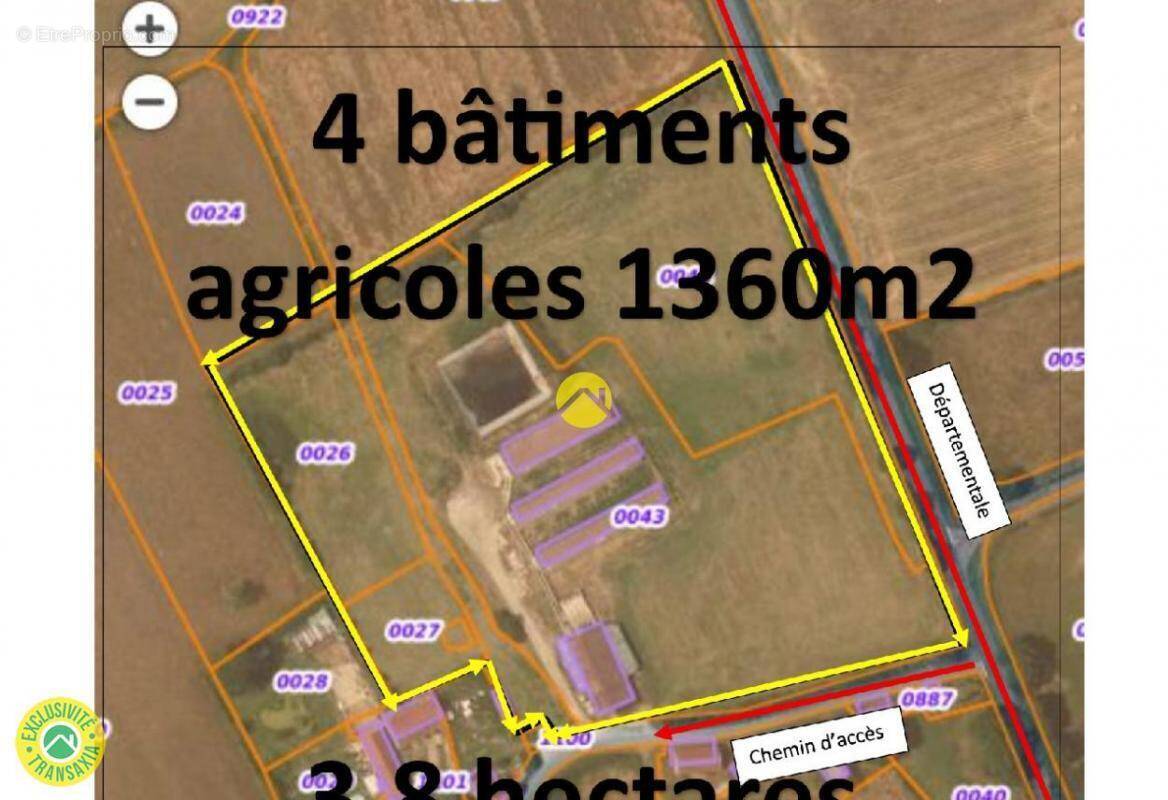 Commerce à LURCY-LEVIS