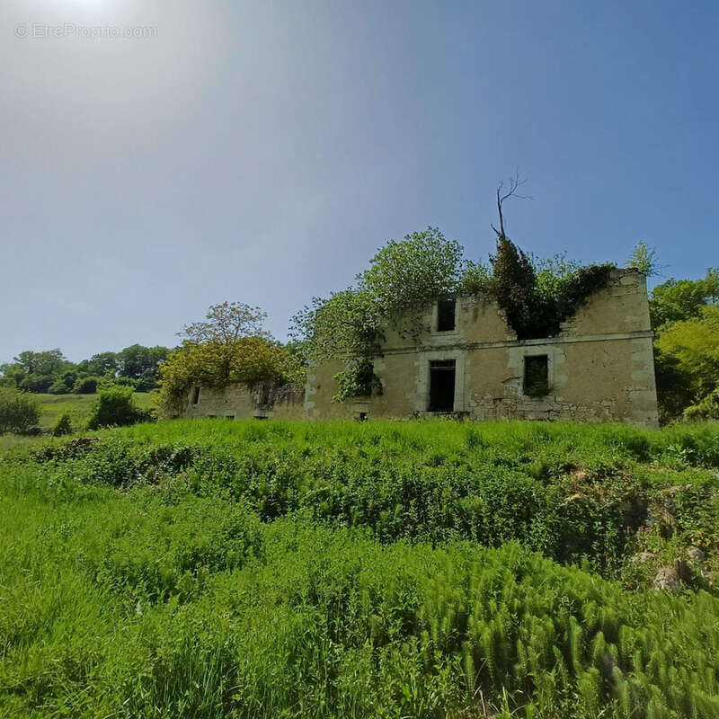 Ancienne Maison de Maître terre et bois 6 Ha - photo 12