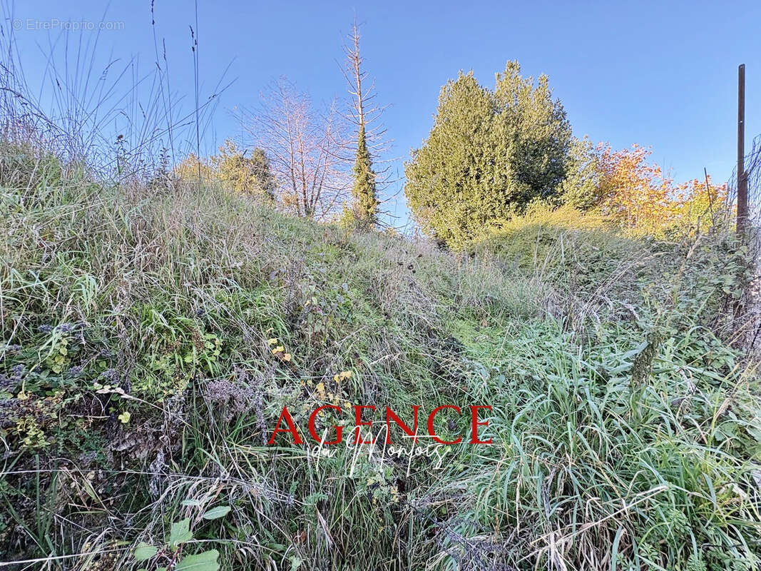 Terrain à BRAY-SUR-SEINE