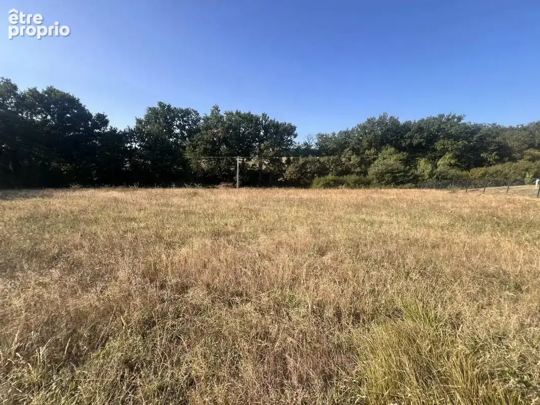 Terrain de 2736 m2 gimont - photo 7