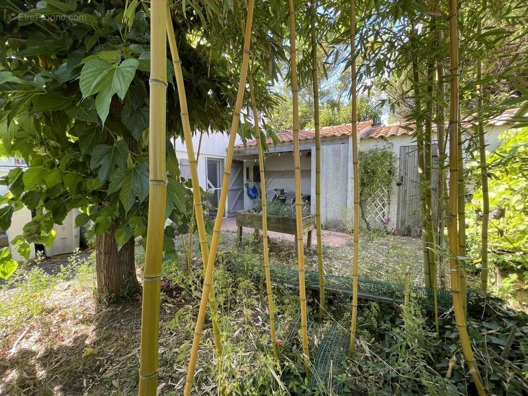 Authenticité, charme et potentiel  - Maison 4 pièces - photo 14