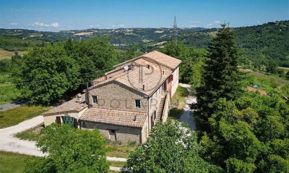 Ferme avec appartements, laboratoire de transformation et boutique à la ferme — Le Marche - photo 14