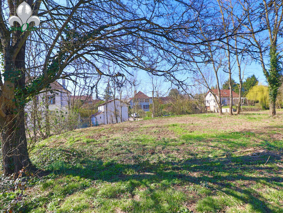 Terrain à AUVILLARS-SUR-SAONE