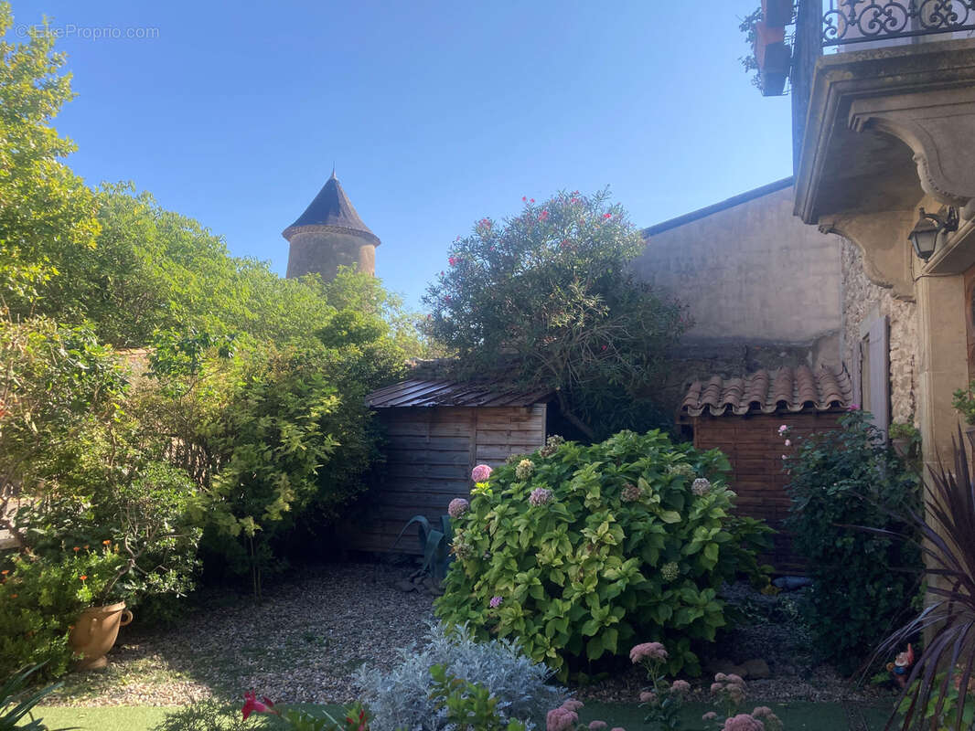 Minervois, 20mn Carcassonne Est, maison de maitre 8 chambres avec jardin et terrasse. - photo 31