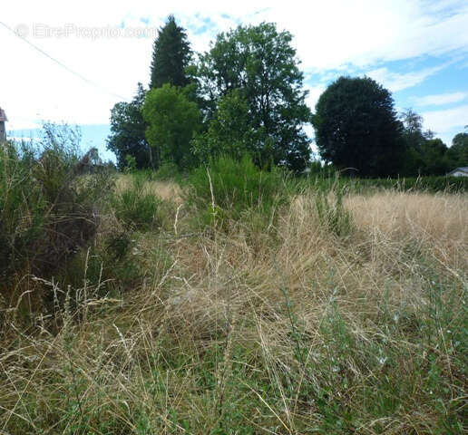 Terrain à LE CHAMBON-SUR-LIGNON