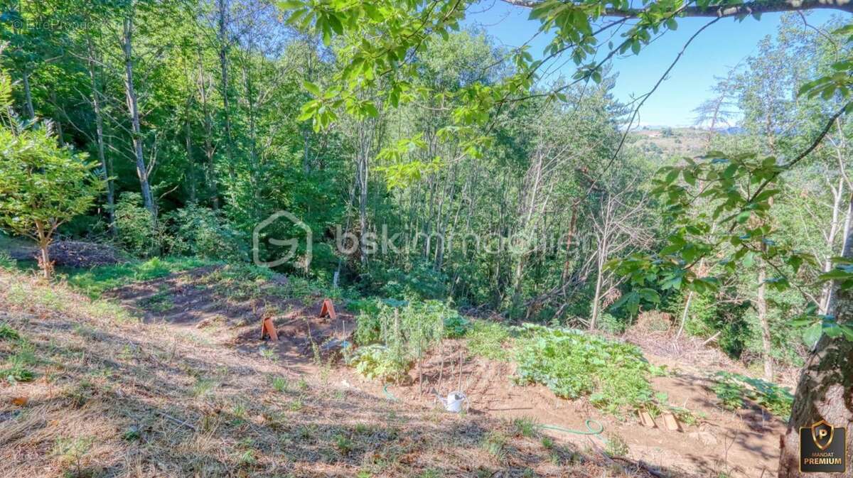 Maison à LE CHAMBON-SUR-LIGNON