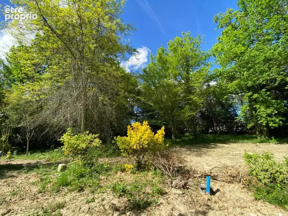 Photo Terrain à Carignan-De-Bordeaux au prix de 262 000€