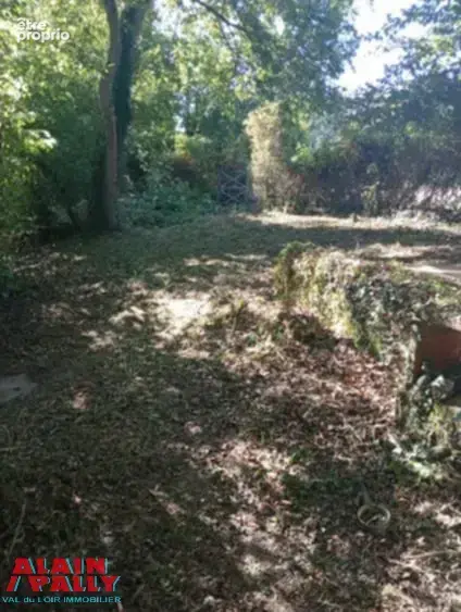 Terrain bord de loir - photo 5