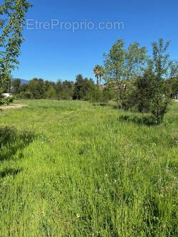 Terrain à PRUNELLI-DI-FIUMORBO