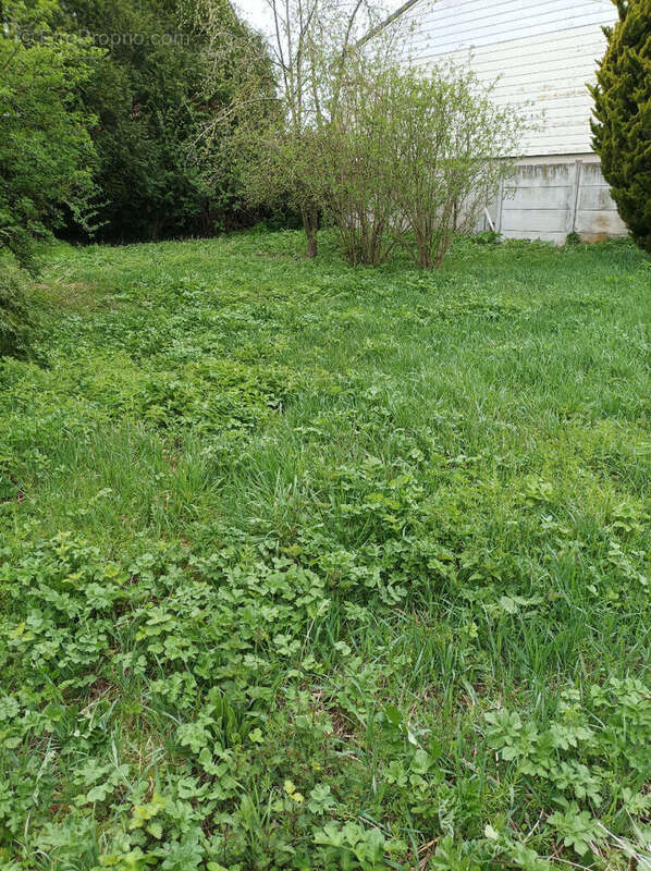 Terrain à MOY-DE-L&#039;AISNE