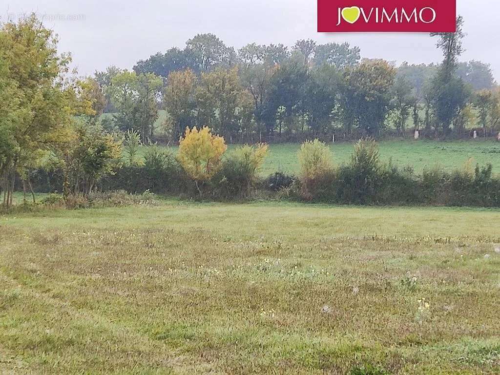 Terrain à ASLONNES