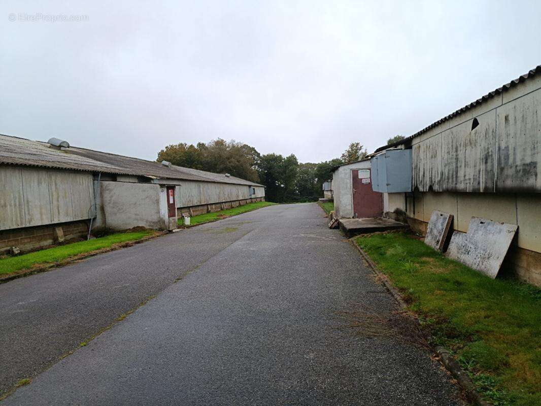 poulaillers industriels - photo 2