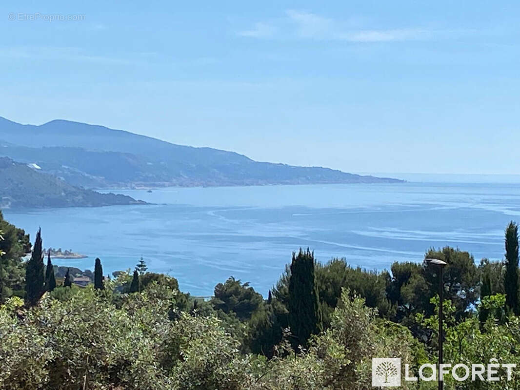 Terrain à ROQUEBRUNE-CAP-MARTIN