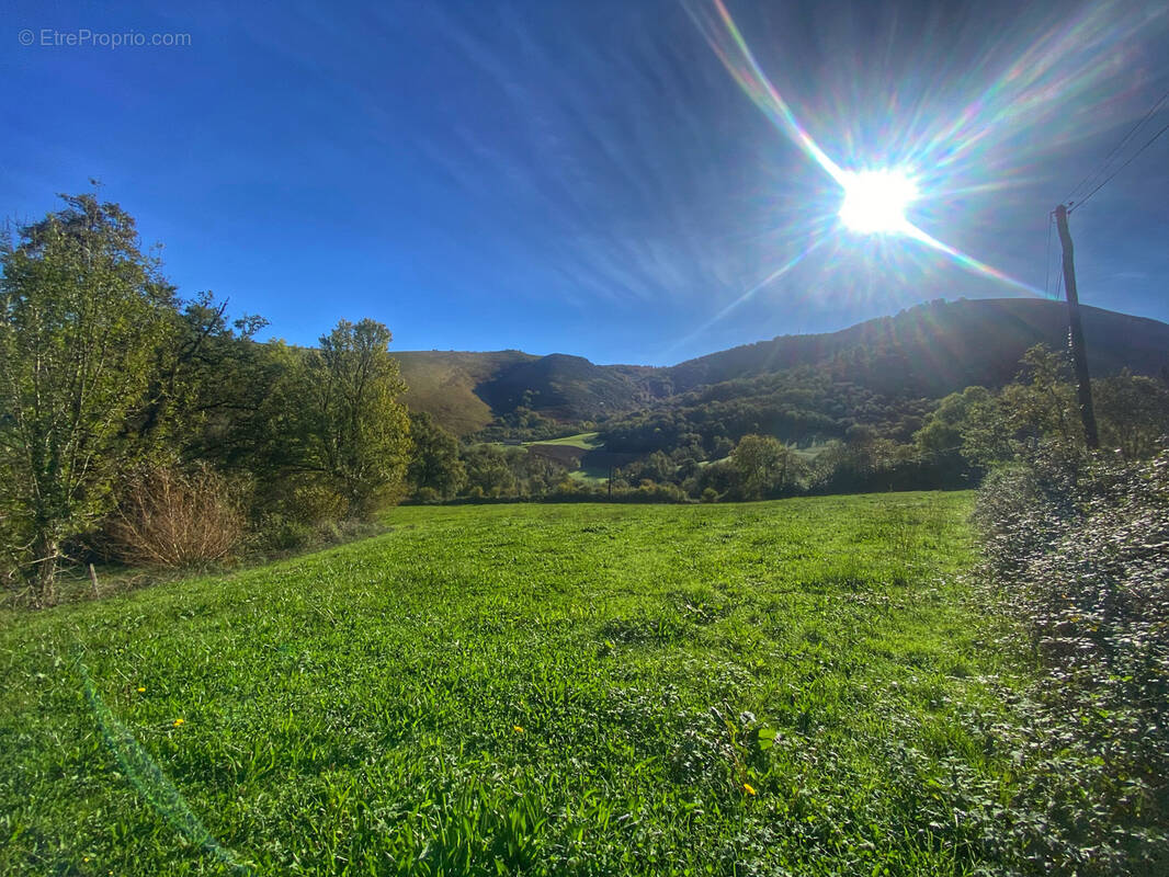 Terrain à LARCEVEAU-ARROS-CIBITS