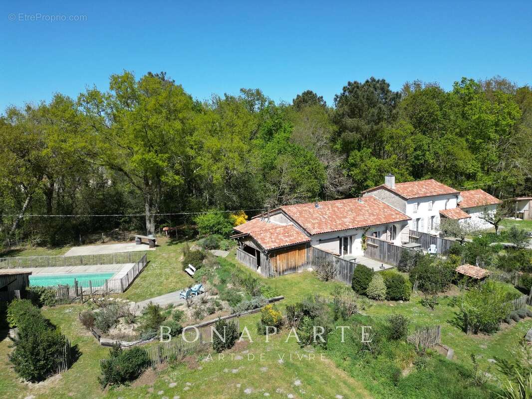 Vensac - propriete de 4,5 hectares à 5 minutes des plages océanes - photo 8