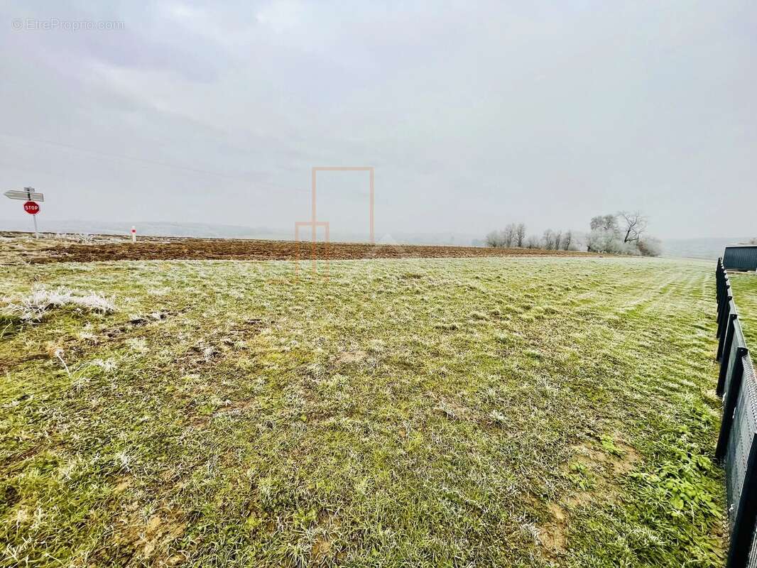 Terrain à FORSTHEIM