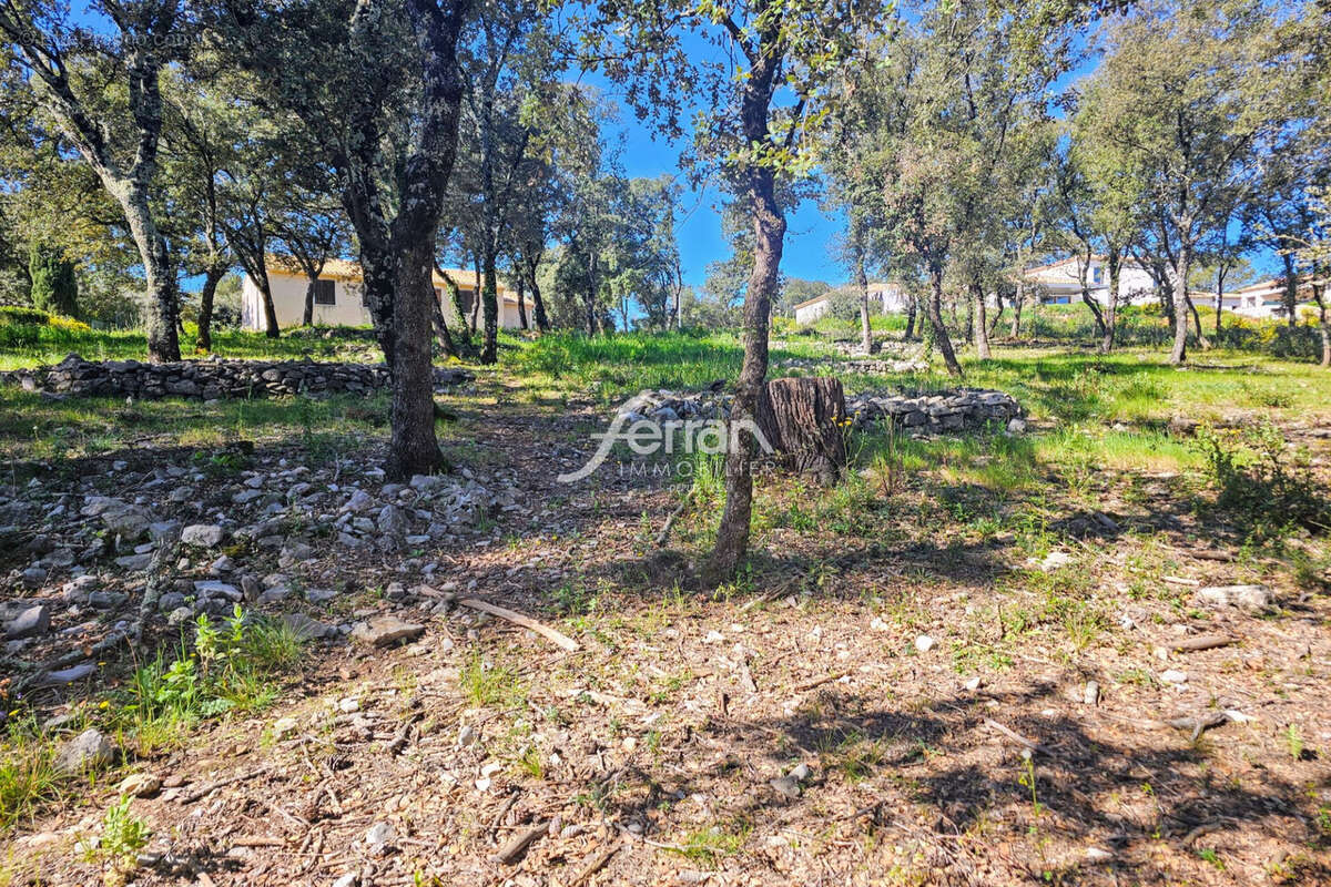 Terrain à LE THORONET