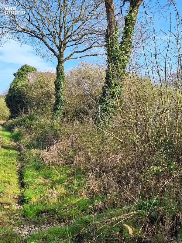 Terrain non constructible avec bâtisse en pierres en ruine, pour jardin ou espace de loisirs - photo 7