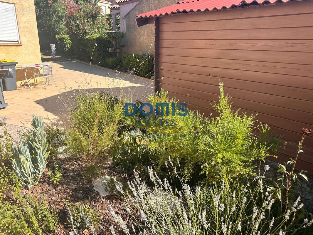 Frontignan Villa de 140 m2 sur 1060 m2 - photo 8