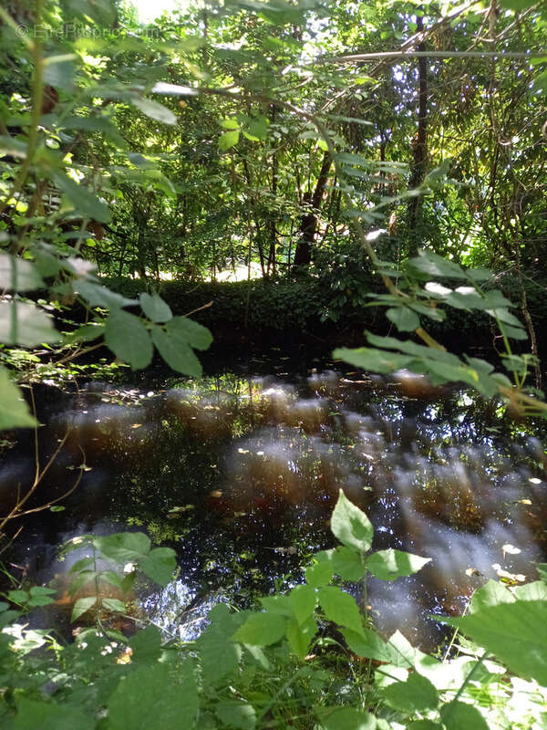 Maison à SAINT-CHRISTOLY-DE-BLAYE