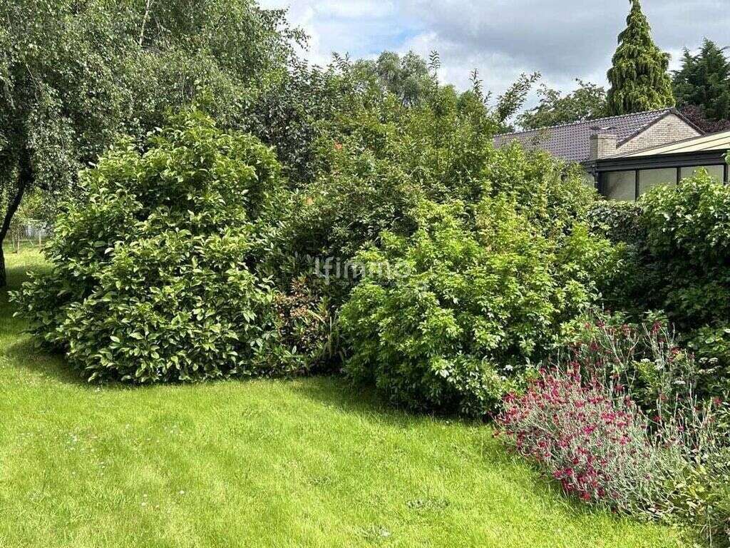 Maison à QUIEVRECHAIN