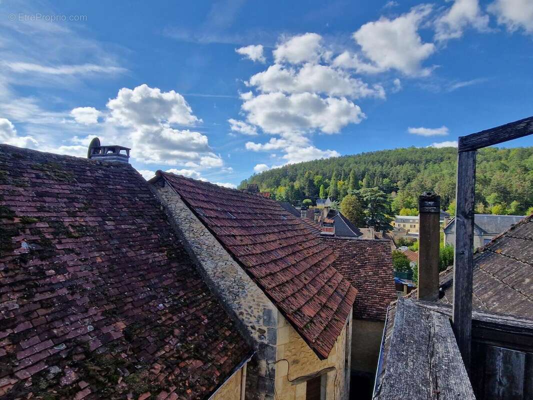 Vue toits - Maison à LE BUGUE