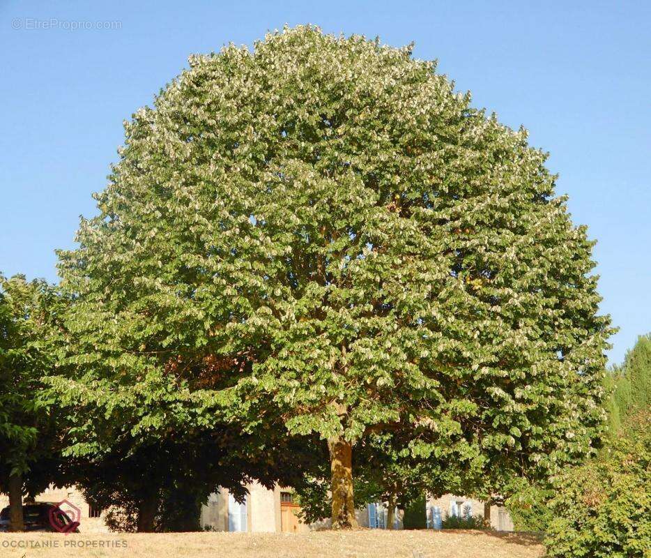 Maison à VILLEFRANCHE-DE-LAURAGAIS