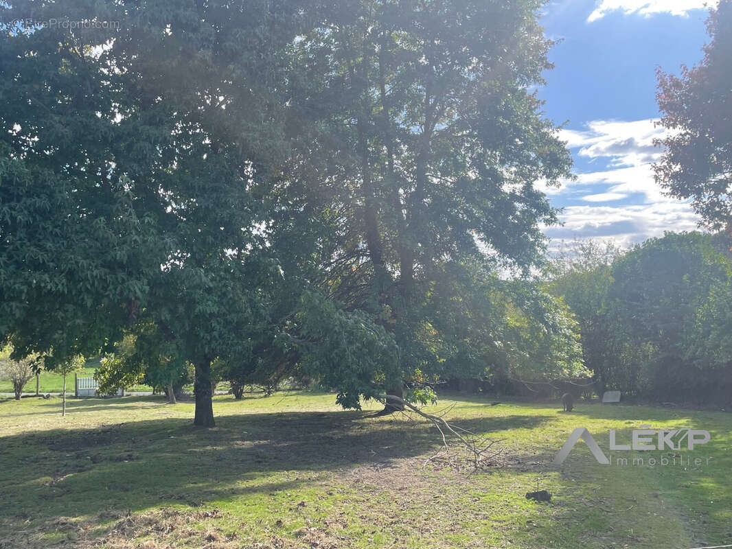 Terrain à SAINTE-MARIE