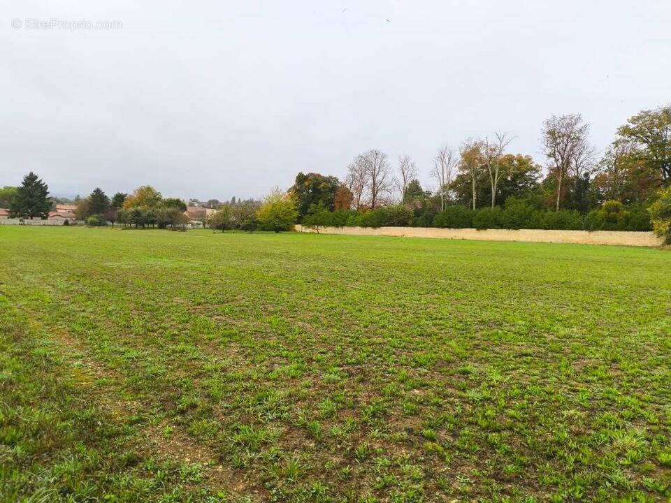 Terrain à BARBEZIEUX-SAINT-HILAIRE