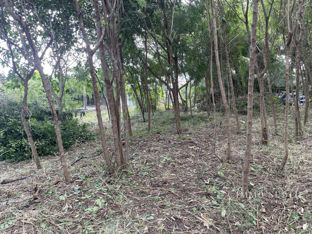 Terrain à SAINT-FRANCOIS