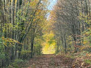 Maison à MONTMIRAIL