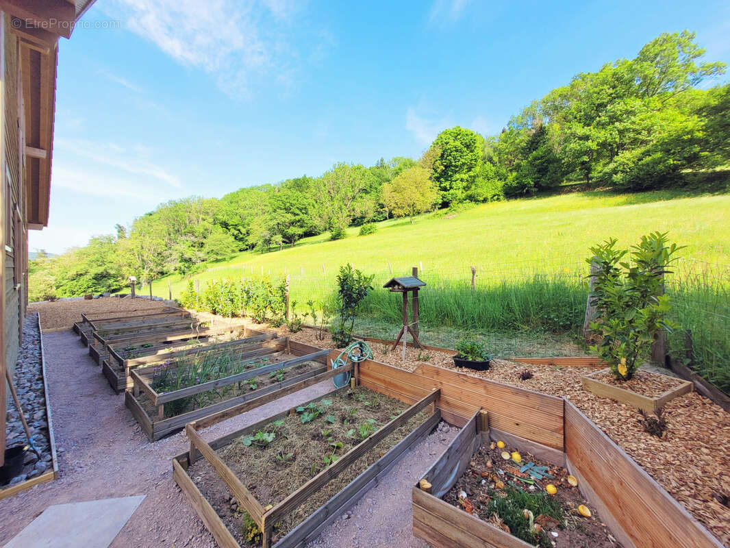 Maison à BREITENBACH-HAUT-RHIN