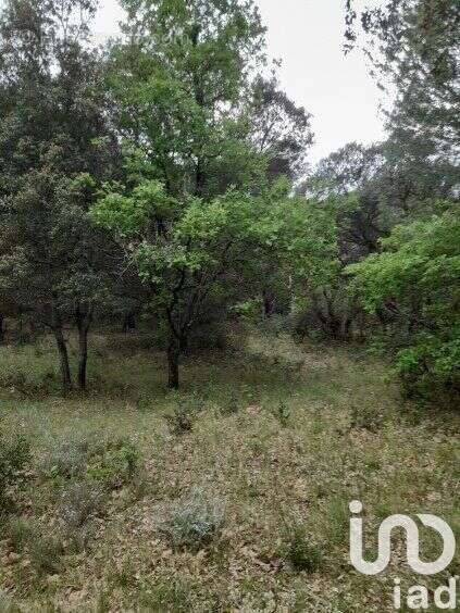 Photo 2 - Terrain à SAINT-RESTITUT