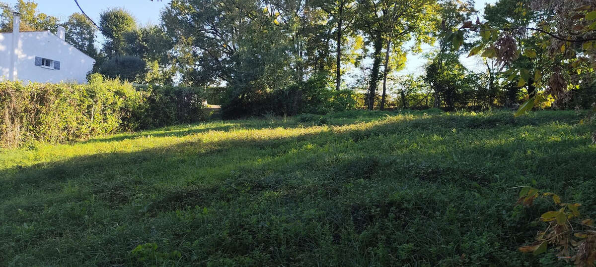 Terrain à FONTCOUVERTE