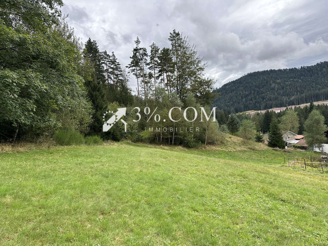 Terrain à GERARDMER