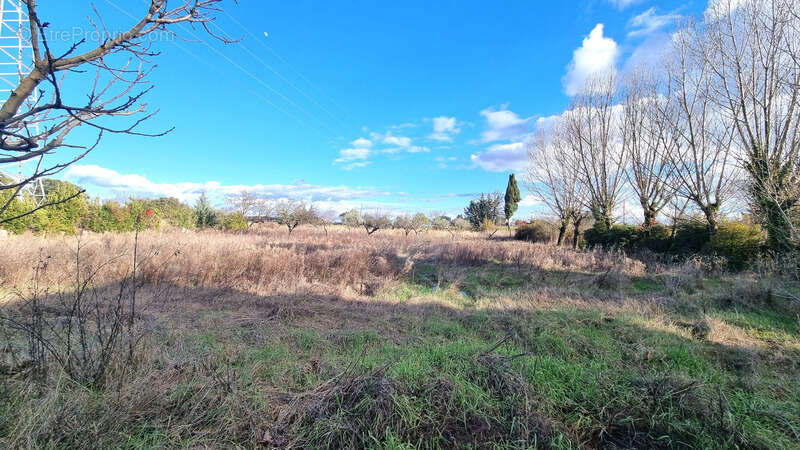 Maison à RIBAUTE-LES-TAVERNES