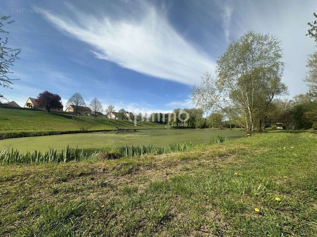 Terrain de loisir avec étang de pêche et roulotte - photo 7