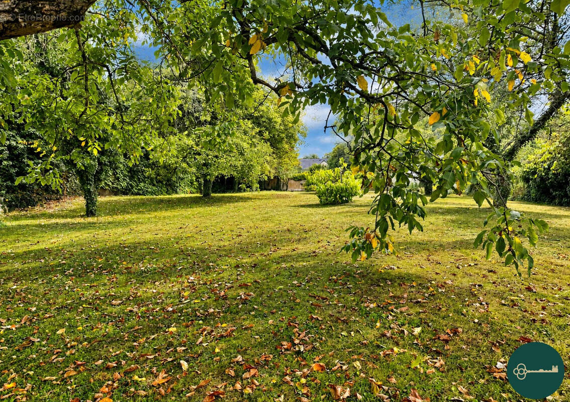 Terrain à TOUL