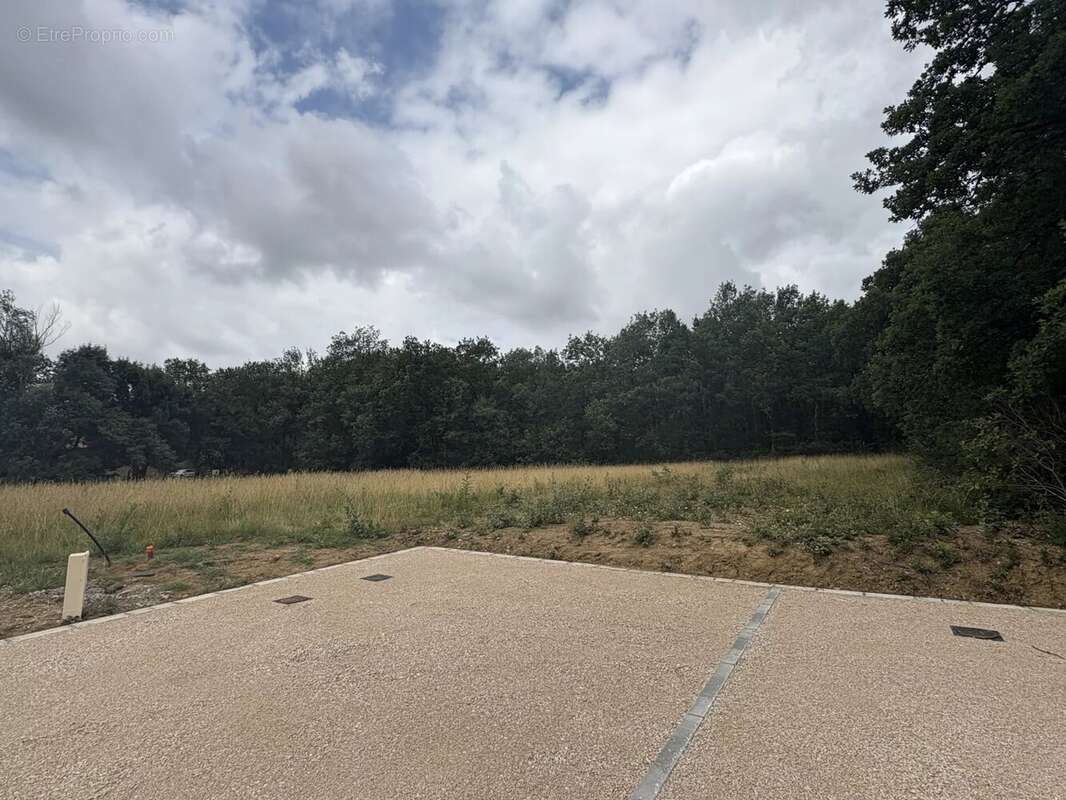 Terrain à LA SALVETAT-SAINT-GILLES