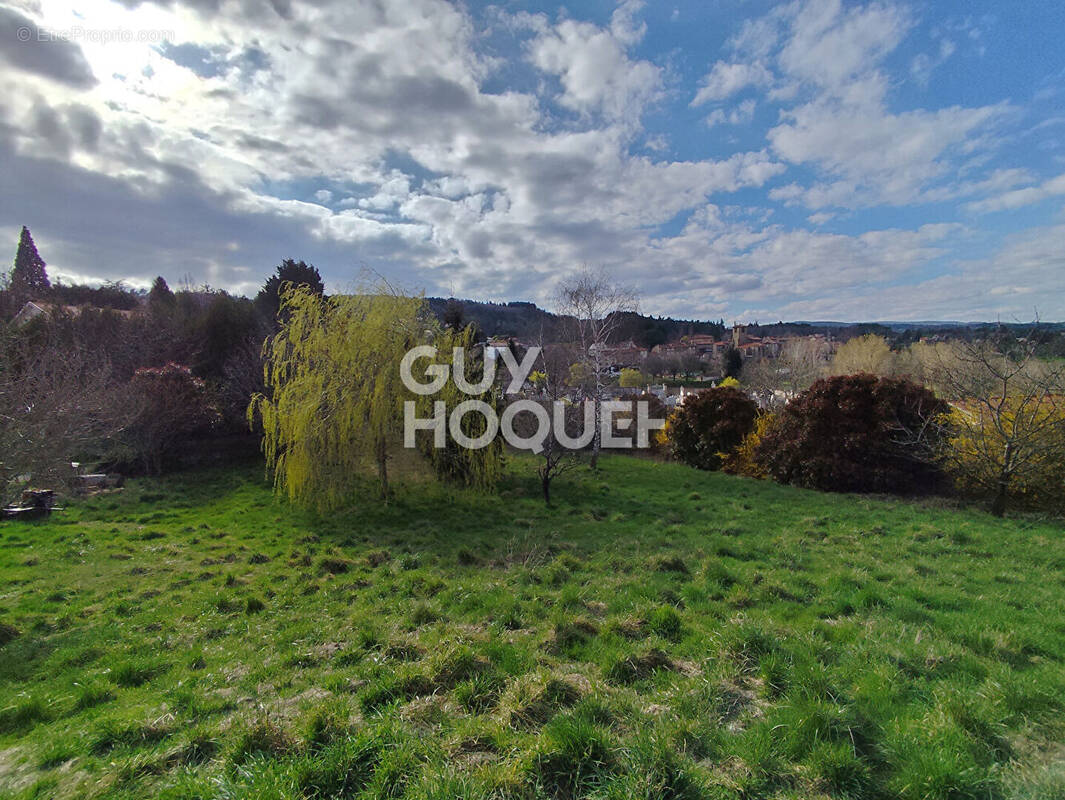 Terrain à SAINT-JEAN-SOLEYMIEUX