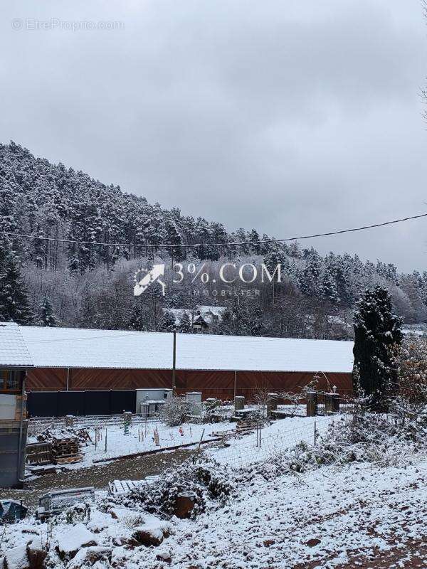 Maison à WANGENBOURG-ENGENTHAL