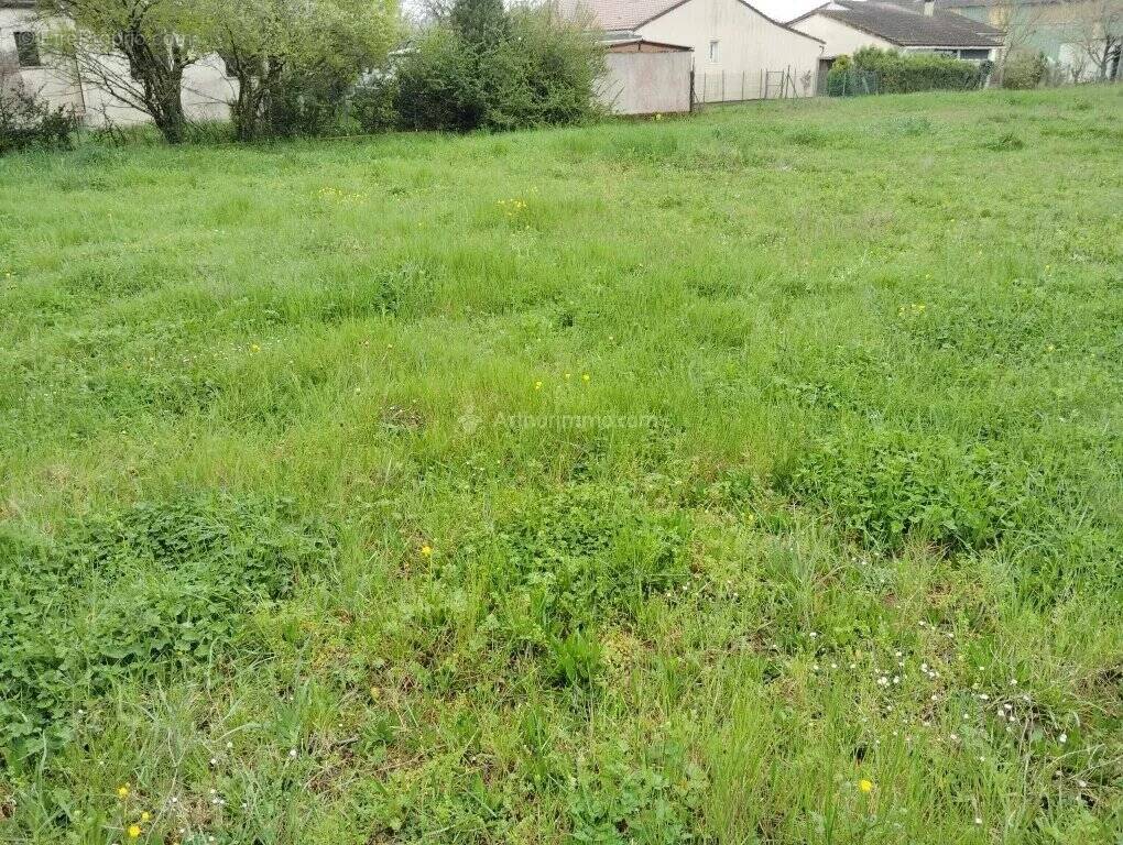 Terrain à LABOUTARIE