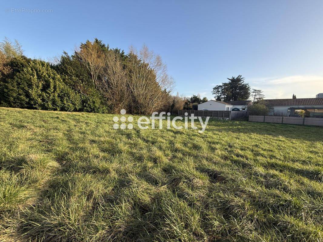 Terrain à SAINT-SULPICE-DE-ROYAN