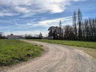 Terrain à MONTPELLIER-DE-MEDILLAN