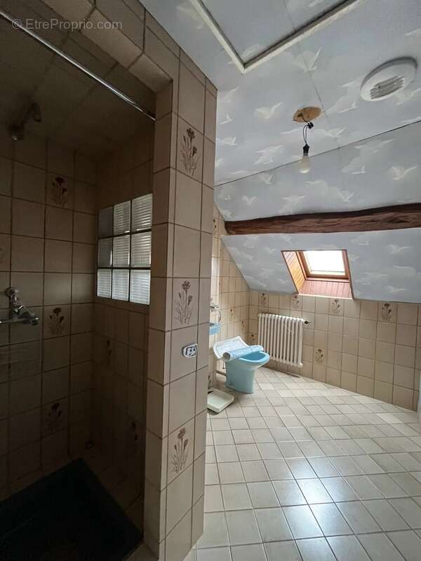 Appartement à ARCES-DILO