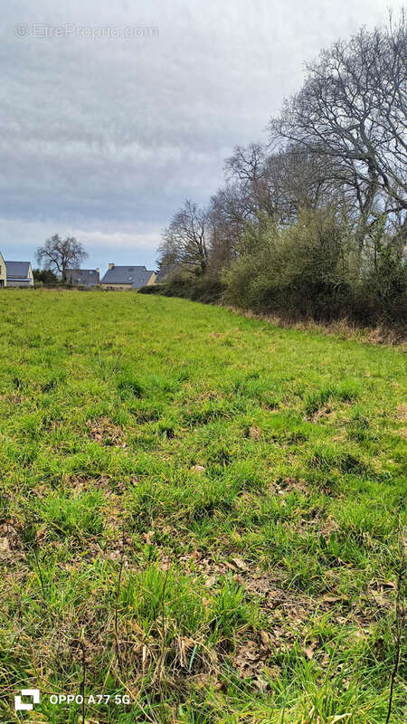 Terrain à SAINT-BRIAC-SUR-MER